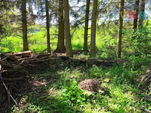 Prodej chalupy, Konice, 60 m2