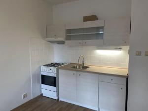 Pronájem bytu 1+1, Jihlava, S. K. Neumanna, 38 m2