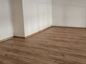 Pronájem bytu 1+1, Český Těšín, Havlíčkova, 52 m2