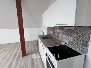 Pronájem bytu 1+kk, Rakovník, Havlíčkova, 58 m2