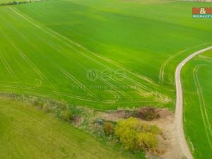 Prodej louky, Olešnice, 730 m2