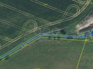 Prodej louky, Olešnice, 730 m2