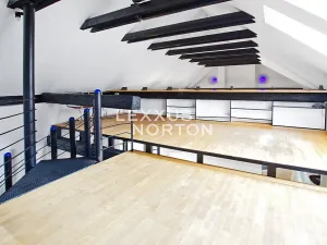 Pronájem vily, Praha - Dejvice, Na Špitálce, 314 m2
