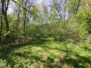 Prodej pozemku pro bydlení, Horšovský Týn - Plzeňské Předměstí, 2525 m2