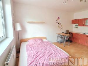Pronájem bytu 1+kk, Plzeň, Říční, 27 m2