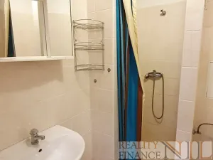 Pronájem bytu 1+kk, Plzeň, Říční, 27 m2