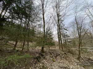 Prodej pozemku, Slavičky - Pozďátky, 580 m2