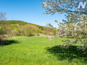 Prodej komerčního pozemku, Ktiš, 3503 m2