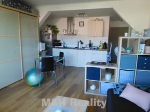 Pronájem bytu 1+kk, Frýdlant nad Ostravicí, 57 m2