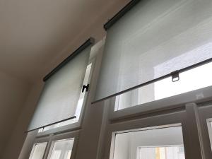 Pronájem bytu 2+1, Praha - Žižkov, Bořivojova, 75 m2
