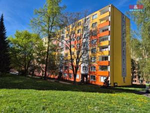 Prodej bytu 1+1, Cheb, Palackého, 36 m2