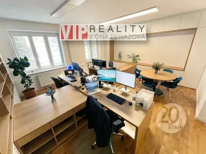 Pronájem vícegeneračního domu, Brno, Březinova, 362 m2