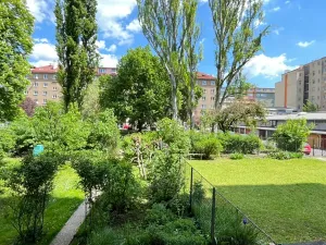 Pronájem bytu 1+kk, Brno, Botanická, 27 m2
