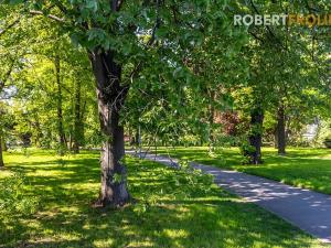 Pronájem bytu 2+kk, Praha - Vysočany, Freyova, 43 m2