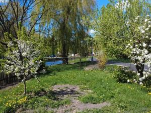 Prodej pozemku pro bydlení, Nymburk, 433 m2
