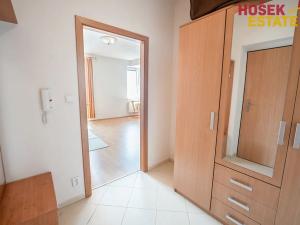 Prodej bytu 1+kk, Brno, U Leskavy, 33 m2