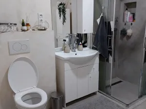 Prodej bytu 2+kk, Opava, Komenského, 52 m2