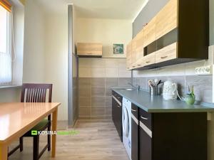 Prodej bytu 2+1, Habartov, Raisova, 58 m2