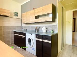 Prodej bytu 2+1, Habartov, Raisova, 58 m2