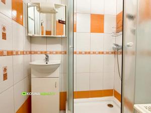 Prodej bytu 2+1, Habartov, Raisova, 58 m2