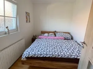 Pronájem bytu 3+1, Letonice, 70 m2