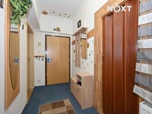 Prodej bytu 1+1, Brno, Skácelova, 45 m2