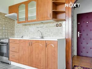 Pronájem bytu 1+1, Žatec, Družstevní, 36 m2