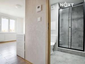 Pronájem bytu 1+1, Žatec, Jabloňová, 37 m2