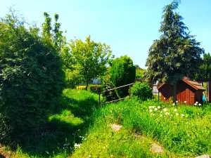 Prodej rodinného domu, Chvaletice, Nerudova, 63 m2