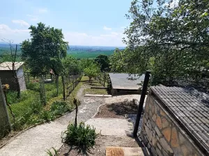 Prodej zahrady, Žitenice, 817 m2