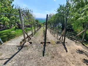 Prodej zahrady, Žitenice, 817 m2