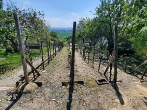 Prodej zahrady, Žitenice, 817 m2