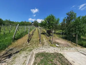 Prodej zahrady, Žitenice, 817 m2