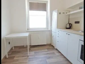 Pronájem bytu 1+1, Opava, U Hliníku, 60 m2