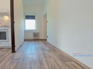 Pronájem bytu 1+1, Opava, U Hliníku, 60 m2