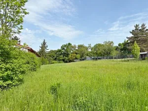 Prodej pozemku pro bydlení, Bílovice nad Svitavou, 2812 m2
