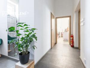 Prodej restaurace, Teplice, U divadla, 162 m2
