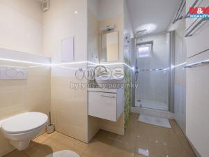 Pronájem bytu 1+1, Louny, Smetanova, 42 m2