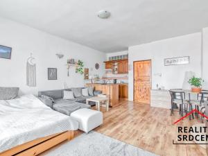 Pronájem bytu 1+kk, Klimkovice, Náměstí, 39 m2