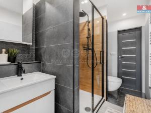 Prodej bytu 3+1, Děčín - Děčín III-Staré Město, Jezdecká, 70 m2