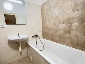 Pronájem bytu 1+kk, Praha - Vinohrady, Mánesova, 42 m2