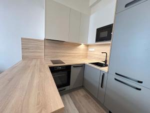 Pronájem bytu 2+kk, Praha - Vinohrady, Mánesova, 53 m2