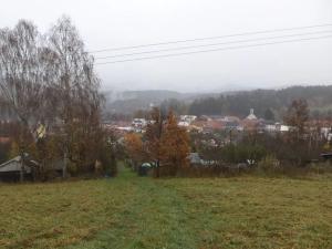 Dražba louky, Vyšší Brod, 315 m2