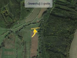 Prodej louky, Domoušice, 2632 m2