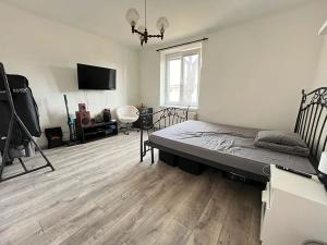 Pronájem bytu 1+1, Opava, Polanova, 38 m2