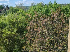 Prodej rodinného domu, Mezouň, 80 m2