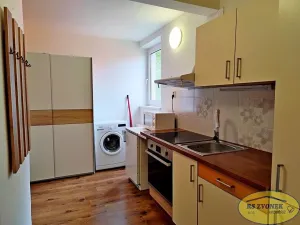 Pronájem bytu 1+1, Horka nad Moravou, Sadová, 30 m2