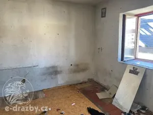 Dražba rodinného domu, Hrochův Týnec, Nábřeží, 234 m2