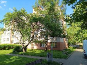 Prodej bytu 1+1, České Budějovice, Puklicova, 39 m2