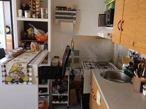 Prodej bytu 1+1, České Budějovice, Puklicova, 39 m2